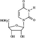 <strong>Instructions: Match each of the following terms to a structure from the list below. There is only one correct structure for each term and structures may be used more than once. process by which mRNA is synthesized</strong> A)Sanger dideoxy method B)GAUCGUAAA C)Watson-Crick D)translation E) F) G)transcription H)Maxam-Gilbert method I)AUGGCUGAG J)replication K) L) M)AGATCGCTC