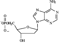 <strong>Instructions: Match each of the following terms to a structure from the list below. There is only one correct structure for each term and structures may be used more than once. process by which mRNA is synthesized</strong> A)Sanger dideoxy method B)GAUCGUAAA C)Watson-Crick D)translation E) F) G)transcription H)Maxam-Gilbert method I)AUGGCUGAG J)replication K) L) M)AGATCGCTC