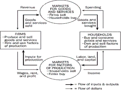 Using the outline below, draw a circular-flow diagram representing the interactions between households and firms in a simple economy.Explain briefly the various parts of the diagram.