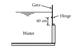 A gate automatically opens when the water gets too high.  