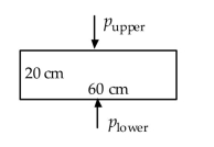 The pressure on the lower surface of the cylinder is 20 \mathrm { kPa } . If the variation of pressure in the vertical direction is given by \partial p / \partial z = - 2400 \mathrm {~Pa} / \mathrm { m } , the pressure on the upper surface is nearest: (A) 19.52 kPa (B) 20.48 kPa (C) −28.0 kPa (D) 31.20 kPa