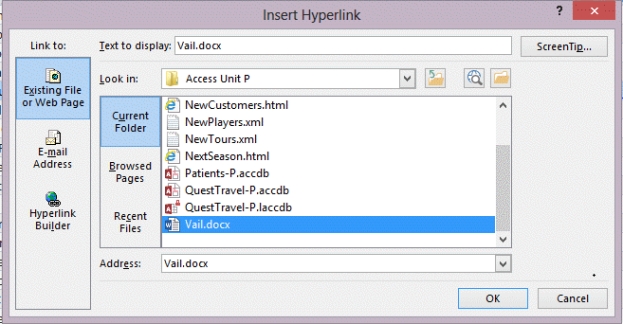 -The Edit Hyperlink dialog box in the figure indicates that the user is in the process of creating a link to a(n) _____.