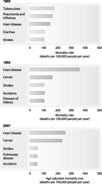<strong> What is used to measure and assess illness over a span of time?</strong> A)Mortality rates B)Migration patterns C)Infection patterns D)Morbidity rates