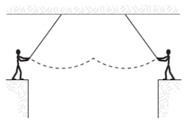 <strong>Two circus clowns (each having a mass of 50 kg) swing on two flying trapezes (negligible mass, length 25 m) shown in the figure. At the peak of the swing, one grabs the other, and the two swing back to one platform. The time for the forward and return motion is: </strong> A)10 s. B)50 s. C)15 s. D)20 s. E)25 s.