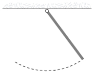 <strong>A uniform rod (mass m = 1.0 kg and length L = 2.0 m) pivoted at one end oscillates in a vertical plane as shown below. The period of oscillation (in s) is approximately: </strong> A)4.0. B)1.6. C)3.2. D)2.3. E)2.0.
