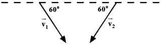 <strong>Refer to Exhibit 8-1 below.Exhibit 8-1 Two birds of prey hurtling after the same rabbit collide in mid-air and grab each other with their talons. Each 250-g bird is flying at 30 m/s at a 60 \degree angle to the ground. What is the magnitude of their total momentum, in \frac{\mathrm{kg} \cdot \mathrm{~m}}{\mathrm{~s}} , immediately after the collision?</strong> A)0 B)6.5 C)7.5 D)13 E)15