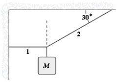 <strong>If M = 2.0 kg, what is the tension in string 1? </strong> A)1.2 N B)11 N C)34 N D)3.5 N E)40 N