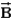 <strong>Which of the following statements is true?</strong> A)can never be perpendicular to B)can be aligned parallel to C)must be perpendicular to D)can never be aligned parallel to