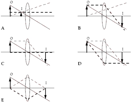 <strong>Which ray diagrams are correct? The three rays in each diagram are distinguished by different types of lines.Hint: Check the behaviour of each ray as it interacts with the lens. </strong> A)B and C B)C and D C)D and E D)C and E E)C, D and E