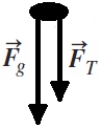 <strong>A rock attached to a string swings in a vertical circle. Which free-body diagram could correctly describe the force(s) on the rock when it is at the highest point, where is the normal force, is weight, and is tension?</strong> A) B) C) D) E)
