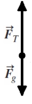 <strong>A rock attached to a string swings in a vertical circle. Which free-body diagram could correctly describe the force(s) on the rock when it is at the lowest point, where is the normal force, is weight, and is tension?</strong> A) B) C) D) E)