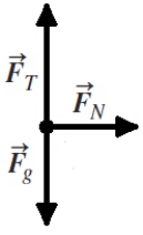 <strong>A rock attached to a string swings in a vertical circle. Which free-body diagram could correctly describe the force(s) on the rock when it is at the lowest point, where is the normal force, is weight, and is tension?</strong> A) B) C) D) E)