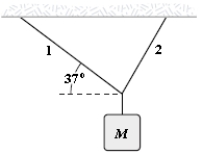 <strong>An object of unknown weight is suspended as shown. The tension in rope 1 is 25 lb, and the tension in rope 2 is 31 lb. What is the weight of the suspended object? </strong> A)36 lb B)33 lb C)41 lb D)39 lb E)56 lb