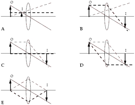 <strong>Which ray diagrams are correct? The three rays in each diagram are distinguished by different types of lines. Hint: Check the behavior of each ray as it interacts with the lens. </strong> A)B and C B)C and D C)D and E D)C and E E)C, D and E