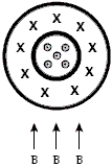 A coaxial cable has an inner cylindrical conductor surrounded by cylindrical insulation and an outer cylindrical conducting shell. The outer shell carries the same current but in the opposite direction from that in the inner conductor as shown. If the coaxial cable sits in a uniform magnetic field directed upwards with respect to the cable, the effect of the field on the cable is