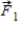 <strong>Two charged particles, Q1 and Q2, are a distance r apart with Q2 = 5Q1. Compare the forces they exert on one another when is the force Q2 exerts on Q1 and is the force Q1 exerts on Q2.</strong> A) . B) . C) . D) . E) .