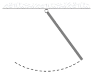 A uniform rod (mass m = 1.0 kg and length L = 2.0 m) pivoted at one end oscillates in a vertical plane as shown below. The period of oscillation (in s) is approximately 