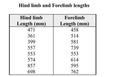 Early humans were similar in shape to most modern large primates. The data below are average male hind limb and forelimb lengths for different species of early hominids (humans and their ancestors.) a) What is the value of the correlation coefficient for these data? c) Suppose these species are representative of all species of early human ancestors. If a new homonin species dating from about the same time were to be discovered with an average hind limb length of 500 mm, what would you predict to be the average forelimb length of this species?