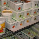 <strong>Which four of these food items are usually available in a frozen state?</strong> A) B) C) D) E)