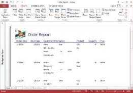-The figure above illustrates a ____, created from data contained in a database.