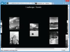<strong> As shown in the accompanying figure, when a Web page requires a very large image (such as to better show a product, home for sale, or featured piece of art, for instance), a(n) ____ can be used to save loading time.</strong> A) thumbnail image B) button image C) icon image D) sample image