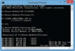 As shown in the accompanying figure, Windows users can still issue ____________________ commands via the Command Prompt.