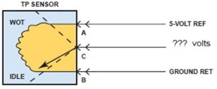 <strong>With the TP sensor in the position shown, what voltage would be expected at the signal wire (C)? </strong> A) 5.0 volts B) 0.5 volts C) 2.5 volts D) Not enough information