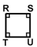 <strong>Choose the appropriate sketch and description for the indicated geometric object. -Trapezoid \overline{R S} \| \overline{T U} </strong> A) \overline{\mathrm{RS}}\|\overline{\mathrm{TU}}, \overline{\mathrm{RT}}\| \overline{\mathrm{SU}} \angle \mathrm{R}=\angle \mathrm{S}=\angle \mathrm{T}=\angle \mathrm{U}=90^{\circ} B) \overline{\mathrm{RS}} \| \overline{\mathrm{TU}} C) \overline{\mathrm{RS}}=\overline{\mathrm{TU}}=\overline{\mathrm{RT}}=\overline{\mathrm{SU}} \angle \mathrm{R}=\angle \mathrm{S}=\angle \mathrm{T}=\angle \mathrm{U}=90^{\circ} D) \overline{\mathrm{RS}}\|\overline{\mathrm{TU}}, \overline{\mathrm{RT}}\| \overline{\mathrm{SU}} \overline{\mathrm{RS}}=\overline{\mathrm{TU}}, \overline{\mathrm{RT}}=\overline{\mathrm{SU}} \angle \mathrm{R}=\angle \mathrm{U}, \angle \mathrm{S}=\angle \mathrm{T}