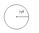 <strong>Solve the problem. -Find an expression that represents the area of the figure.(Leave ? in the answer.) </strong> A) 49 \pi B) 49 \pi C) 14 \pi D) 49 \pi