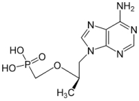The following is the structure for acyclovir, an antiviral drug: Similar to methotrexate and aminopterin, acyclovir is a(n) ______________, substituting for the deoxynucleotide ______________ during DNA synthesis.