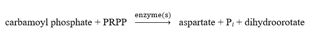 <strong>Which of the following is correct regarding pyrimidine synthesis?</strong> A) B) C) D) A and C E) None of the above