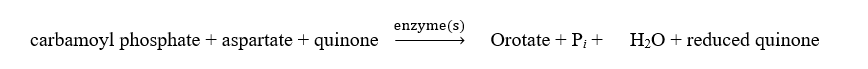 <strong>Which of the following is correct regarding pyrimidine synthesis?</strong> A) B) C) D) A and C E) None of the above