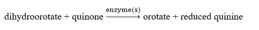 <strong>Which of the following is correct regarding pyrimidine synthesis?</strong> A) B) C) D) A and C E) None of the above