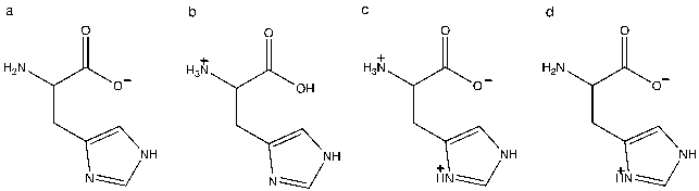 <strong>Which of the following structures shows the prevalent form of histidine at pH 5? </strong> A) a B) b C) c D) d E) none of the above