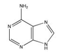 <strong>Which of the following bases pairs with guanine?</strong> A) B) C) D) E)