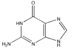 <strong>Which of the following bases pairs with guanine?</strong> A) B) C) D) E)