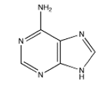 <strong>Which of the following bases is not present in RNA?</strong> A) B) C) D) E)