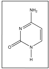 This is the structure of cytosine. a. What are the names of the other three bases that are found in DNA? b. Is cytosine a purine or a pyrimidine? c. Give the name and the one letter abbreviation of the base cytosine base-pairs (H-bonds) with in DNA. d. What is the name of the molecule composed of cytosine linked to ribose? e. Indicate on the drawing through which atom cytosine is connected to ribose or deoxyribose f. Indicate on the drawing which groups on cytosine are involved in base-pairing (H-bonding) with its complementary base