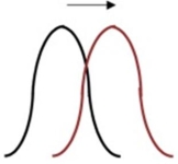 <strong>During normal climatic conditions, regular amounts of rainfall, the average beak depth for finches was 6.8mm. The Grants found that after a drought, finch beaks increased in depth to 9.8mm. The birds with deep beaks were better able to eat large, hard seeds. Small hard seeds were also available after the drought, but could only be eaten by birds with shallow beaks. What might happen to the population if this trend continues? Choose the graphical representation that would most closely fit a population that has changed from the majority of individuals having a beak depth of 6.8, to a population where both shallow and deep beaks were the norm and only a few individuals had an average beak depth. What is the name of this type of natural selection?</strong> A) directional selection. B) disruptive (diversifying) selection. C) stabilizing selection. D) balancing selection.