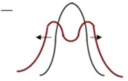 <strong>During normal climatic conditions, regular amounts of rainfall, the average beak depth for finches was 6.8mm. The Grants found that after a drought, finch beaks increased in depth to 9.8mm. The birds with deep beaks were better able to eat large, hard seeds. Small hard seeds were also available after the drought, but could only be eaten by birds with shallow beaks. What might happen to the population if this trend continues? Choose the graphical representation that would most closely fit a population that has changed from the majority of individuals having a beak depth of 6.8, to a population where both shallow and deep beaks were the norm and only a few individuals had an average beak depth. What is the name of this type of natural selection?</strong> A) directional selection. B) disruptive (diversifying) selection. C) stabilizing selection. D) balancing selection.