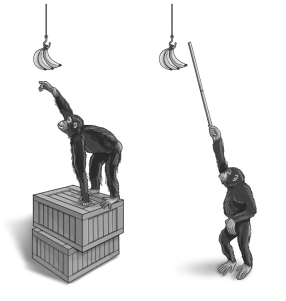 <strong> Refer to the figure above and then answer the question that follows. -The chimpanzees are manipulating boxes and pole sections to reach bananas suspended above their heads. What type of behavior is this?</strong> A) insight learning B) instinct C) altruism D) imprinting E) habituation