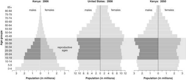 <strong> Refer to the figure above and then answer the question that follows. -In many developing countries, the population pyramid is broad at the base and narrow at the top. What does this indicate?</strong> A) That growth is arithmetic. B) That there are few, if any, density-dependent factors affecting population size. C) That fertility is increasing. D) That there are more young individuals than post-reproductive individuals.