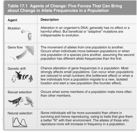 <strong> Refer to the table above and then answer the questions that follow. -The only known population of a reptile species lives on an African mountain. The population is relatively large, but no close relatives of this species are known. Suppose you could stop all mutations within the population and all emigration out of this population. Which statement best describes the probable future of this population?</strong> A) The population will deteriorate after a few generations because of excessive inbreeding. B) Evolution will continue as selection acts on the variability produced by sexual recombination of genes. C) Although the population will cease to change, it may survive for as long as the environment remains constant. D) Genetic drift will cause major evolutionary changes in the population.