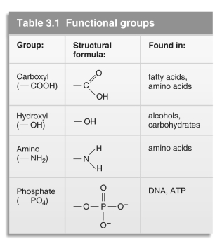 <strong> Refer to the table above and then answer the questions that follow. -The functional group phosphate is found in:</strong> A) proteins. B) amino acids. C) alcohols. D) nucleic acids.