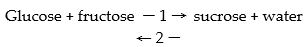 <strong>Refer to the chemical reaction below then answer the question that follows. -Which molecule is the disaccharide?</strong> A) sucrose B) glucose C) water D) fatty acids