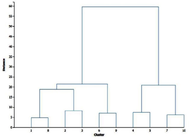 Using the following dendrogram created by using the k-means method, identify the number k was given to form the clusters present.
