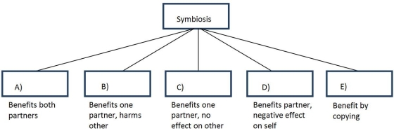 The chart below provides brief definitions for five types of symbiosis discussed in this chapter. From the following options, choose which corrrectly matches each type of symbiosis with its definition.