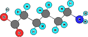 <strong>What functional groups are present in the ball and stick model shown below? I. amine II. Alcohol III. carboxylic acid IV. Ketone V. thiol</strong> A) I and IV B) I and II C) I and V D) I and III E) III only
