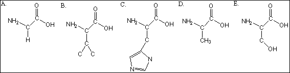 <strong>Which of the amino acids are hydrophobic? </strong> A) A B) A, B C) A, B, C D) A, B, D E) B, E