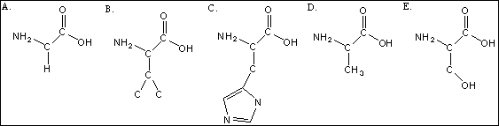 Use the following amino acid structures to answer questions -Give the formula for amino acid shown above as B.